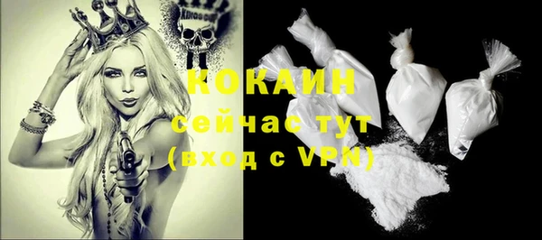 шишки Балахна