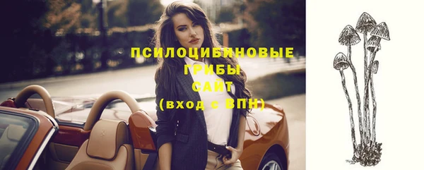 ГАЛЛЮЦИНОГЕННЫЕ ГРИБЫ Баксан