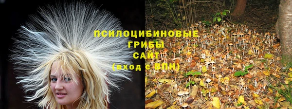 ГАЛЛЮЦИНОГЕННЫЕ ГРИБЫ Баксан