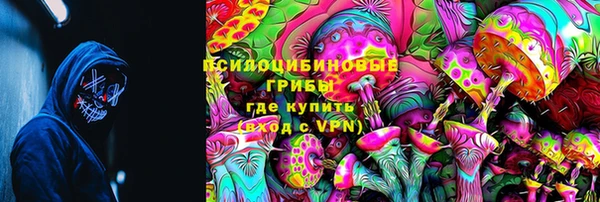 шишки Балахна