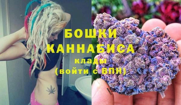 шишки Балахна