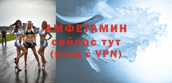 шишки Балахна