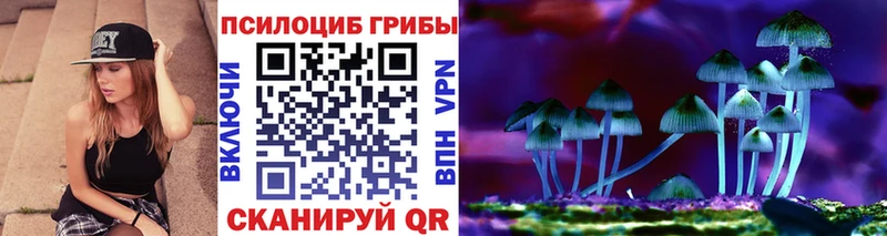 Галлюциногенные грибы Psilocybe  наркота  Верхнеуральск 